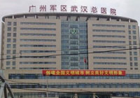广州军区武汉总医院